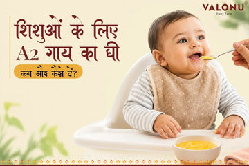 शिशुओं के लिए A2 गाय का घी: कब और कैसे दें?