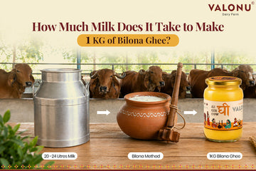 How Much Milk Does It Take to Make 1 KG of A2 Bilona Ghee?