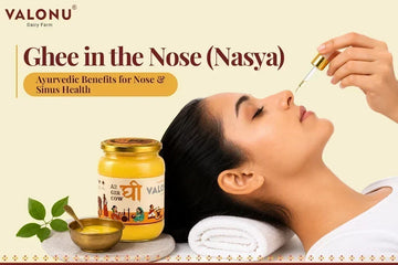 Ghee in the Nose (Nasya) & Health Benefits of A2 Cow Ghee