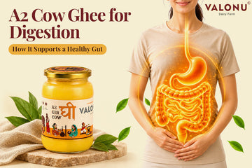 A2 Cow Ghee for Digestion: How It  Supports a Healthy Gut
