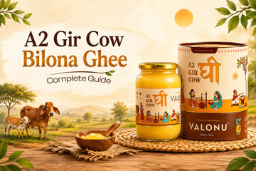 Best A2 Gir Cow Bilona Ghee